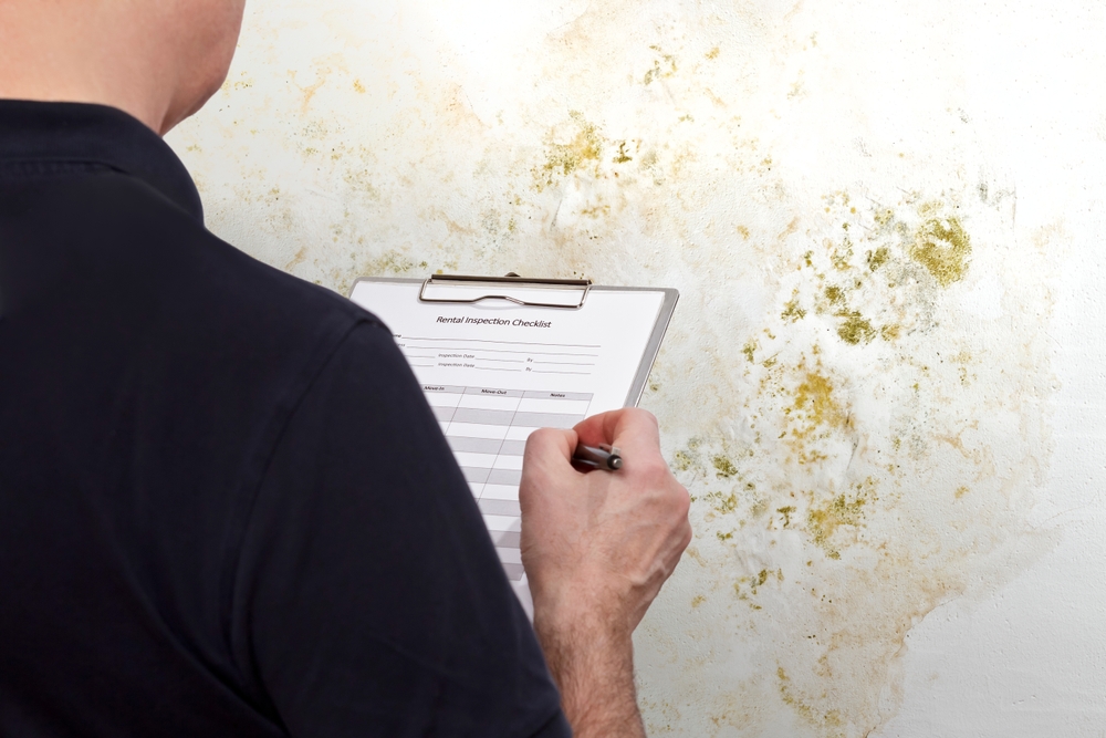 High humidity damage concept: man with an inspection checklist in front of a white wall overgrown with mold, mildew or fungus.